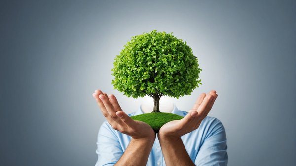 Comment réduire votre empreinte carbone au quotidien ?