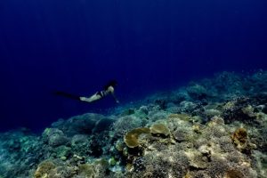 plongée sous marine